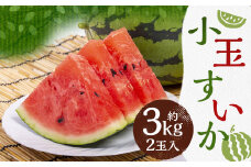 小玉 すいか 2玉入 約3kg【2025年5月下旬～6月上旬発送予定】