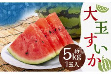大玉 すいか 1玉入 約5kg【2025年4月下旬～7月上旬発送予定】