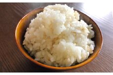 発芽玄米用 玄米 腹福米 手作り セット 5kg タッパー ヒノヒカリ 【2025年11月上旬より発送開始】