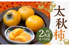 太秋柿 約2kg（4～10玉）柿 カキ 果物【2025年10月上旬～11月上旬発送予定】