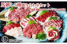 馬刺し 5種 盛り合わせセット 5人前 約250g 熊本直送 馬肉 肉 赤身 霜降り バラヒモ フタエゴ コーネ 冷凍 益城町