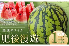 熊本県 益城町 スイカ 肥後漫遊 2L 1玉  約7kg 【2025年6月下旬迄発送予定】