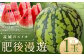 熊本県 益城町 スイカ 肥後漫遊 2L 1玉  約7kg