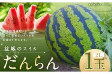 熊本県 益城町 スイカ だんらん 2L 1玉  約7kg 【2025年6月下旬迄発送予定】