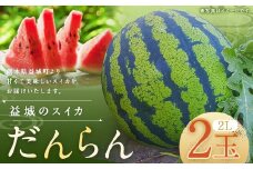 熊本県 益城町 スイカ だんらん 2玉  (2玉×2L) 計約14kg 【2025年6月下旬迄発送予定】