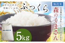 令和7年産 益城町 無洗米 森のくまさん 5kg お米 【2025年11月上旬より順次発送予定】