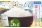 令和7年産 益城町 無洗米 森のくまさん 5kg