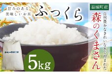 令和7年産 益城町 精米 森のくまさん 5kg 米 お米 【2025年11月上旬より順次発送予定】