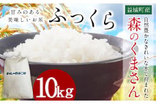 令和7年産 益城町 精米 森のくまさん 10kg お米 【2025年11月上旬より順次発送予定】