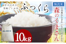 令和7年産 益城町 無洗米 森のくまさん 10kg お米 【2025年11月上旬より順次発送予定】