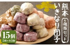 熊本 いきなり団子 15個 セット 5種類 各3個 いきなり団子 詰め合わせ 九州産 さつまいも サツマイモ さつま芋 熊本名物 和菓子 スイーツ おやつ 手土産 お土産 冷凍 