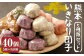 熊本 いきなり団子 40個セット 5種類 各8個