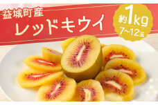 益城町産 レッドキウイ 約1kg（7～12玉）【2025年10月下旬～2026年2月上旬順次発送予定】