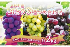 ぶどう 3種 詰め合わせ 合計約2kg 5～6房 巨峰 イタリア 安芸クイーン 【2025年9月上旬～9月下旬順次発送予定】