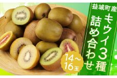 益城町産 特選 キウイ 3種 詰め合わせ 約1.8kg 14～16玉 （各種4玉～6玉） 【2025年11月下旬～2026年1月下旬順次発送予定】