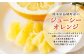 ジューシーオレンジ 約10kg 柑橘類 晩柑 熊本県産
