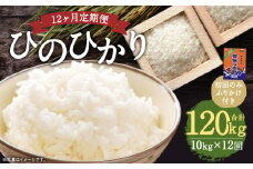 【12回定期便】ひのひかり 10kg (初回 ご飯の友 付き) 計120kg 熊本 米 ふりかけ 御飯の友【2025年10月上旬より1回目の発送予定】