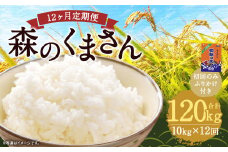【12回定期便】森のくまさん 10kg (初回 ご飯の友 付き) 計120kg 熊本 米 ふりかけ 御飯の友【2025年10月上旬より1回目の発送予定】