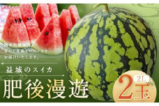 熊本県 益城町 スイカ 肥後漫遊 2玉 (2玉×2L) 計約14kg 【2026年4月下旬～6月下旬迄発送予定】