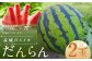 熊本県 益城町 スイカ だんらん 2玉  (2玉×2L) 計約14kg