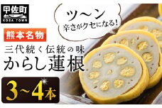 【3代続く伝統の味】ピリッとうまか！熊本からし蓮根（3本～4本）- からし蓮根 辛子蓮根 熊本名物 冷蔵 惣菜 おつまみ 手作り 人気 熊本県 甲佐町