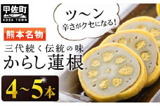 【3代続く伝統の味】ピリッとうまか！熊本からし蓮根（4本～5本）- からし蓮根 辛子蓮根 熊本名物 冷蔵 惣菜 おつまみ 手作り 人気 老舗 伝統 熊本県 甲佐町