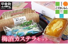 【甲佐ブランド】  梅酒カステラセット 【こうさんもん認定商品】- カステラ もなか 最中 モナカ 梅酒カステラ 大人の味 詰め合わせ セット ご当地 お土産 お菓子 熊本県 甲佐町