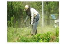空き家、空き地の草刈サービス（年1回）- シルバー人材センター 除草 草刈り 写真報告 代行サービス 熊本県 甲佐町