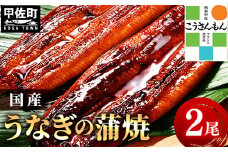【甲佐ブランド】 うなぎ 蒲焼き 2尾 【こうさんもん認定商品】熊本産 国産 総重量300ｇ以上 - うなぎ 鰻 蒲焼 国産 熊本産 こうさんもん 甲佐ブランド 甲佐町特産 蒲焼き ふっくら 冷凍 熊本県 甲佐町