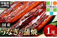 【甲佐ブランド】 うなぎ 蒲焼き 1尾 【こうさんもん認定商品】熊本産 国産 150ｇ以上 - うなぎ 鰻 蒲焼 国産 熊本産 こうさんもん 甲佐ブランド 甲佐町特産 蒲焼き ふっくら 冷凍 熊本県 甲佐町