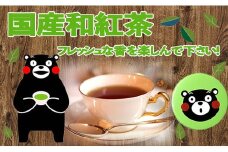 緑缶　国産和紅茶ティーパック - 茶葉 国産 こだわり 熟成 和紅茶 甘熟 まろやか おすすめ 日本の紅茶 ティーバッグ くまモン缶 贈り物 ギフト プレゼント 熊本県 甲佐町