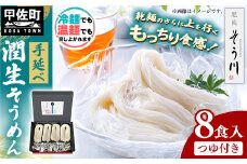 潤生そうめん8食入り - 麺 800g 素麵 国産小麦 麺類 乾麺 つゆ付 潤い 生に戻し 再熟成 こだわり 製法 手延べ にゅう麵 一年中 楽しめる 人気 おすすめ 熊本県 甲佐町