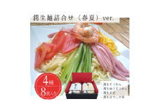 潤生麺詰合せ（春夏）８食入り - そうめん 素麵 柚子 そば 蕎麦 冷やし中華 つゆ付 スープ付 さっぱり麺 詰め合わせセット 贈り物 ギフト 人気 おすすめ 熊本県 甲佐町