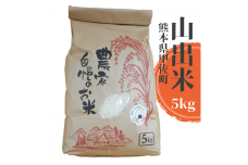 【新米先行受付】甲佐町産　山出米5kg - 令和6年11月以降順次発送 新米 令和6年産 精米 お米 米 しっとり もちもち 甘み おにぎり ごはん 複数原料米 国産 九州産 熊本県 熊本県産 甲佐町【価格改定】