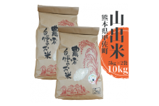 【新米先行受付】甲佐町産　山出米10kg（5kg×2袋） - 令和6年11月以降順次発送 新米 令和6年産 精米 お米 米 しっとり もちもち 甘み おにぎり ごはん 複数原料米 国産 九州産 熊本県 熊本県産 甲佐町【価格改定】