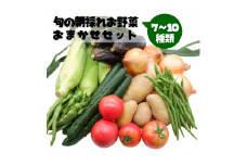 旬の朝採れお野菜おまかせセット - 野菜セット 野菜詰め合わせ 新鮮 フレッシュ 旬の野菜 朝採れ 国産 熊本県産 お任せ 何が入っているかはお楽しみ 7種類前後 おすすめ 熊本県 甲佐町【価格改定】