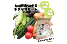 旬のお野菜おまかせセット＆山出米2kg【新米先行受付】 - 令和6年11月以降順次発送 新米 令和6年産 新鮮 野菜 旬 朝採れ 季節 精米 お米 米 しっとり もちもち 甘み おにぎり ごはん 複数原料米 セット 詰め合わせ おまかせ 国産 九州産 熊本県 熊本県産 甲佐町【価格改定ZA】