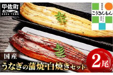 【甲佐ブランド】 うなぎの蒲焼き ・白焼きセット 【こうさんもん認定商品】熊本産 国産 総重量３００ｇ以上 - うなぎ 鰻 蒲焼 国産 熊本産 こうさんもん 甲佐ブランド 甲佐町特産 蒲焼き 白焼き ふっくら 冷凍 熊本県 甲佐町