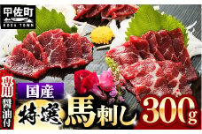 ★レビューキャンペーン対象★国内産 阿蘇肥育 特選馬刺し 300g 【熊本と畜】 - 馬刺し 特選 濃厚 旨味 馬肉 国内産 希少 ブロック あっさり 食べやすい おすすめ 人気 おつまみ 熊本県 甲佐町