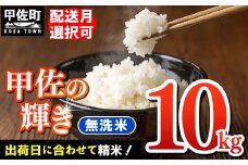 ★新米発送★【令和7年12月発送】『甲佐の輝き』無洗米10kg（5kg×2袋）【配送月選択可！】／出荷日に合わせて精米【価格改定ZJ】