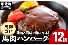 令和7年12月配送【馬肉100％】馬肉ハンバーグ 150g×12個【価格改定】
