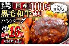 ★レビューキャンペーン対象★【毎月お届け】黒毛和牛 ハンバーグ １５０ｇ×１６個（定期便２ヶ月コース）- ハンバーグ おべんとう お弁当 おかず 個包装 小分け 人気 黒毛和牛 牛肉100％ 冷凍 国産 おすすめ 和牛 お取り寄せ 焼くだけ 熊本県産 熊本産 国内産 国産牛 総菜 定期便 2ヶ月 甲佐町