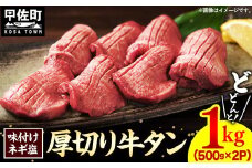 【2025年9月配送】味付けネギ塩厚切り牛タン 焼肉1000g（500g×2パック）