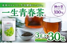 一生青春茶 30包 サプリ サプリメント 神の草 日本山人参 ヒュウガトウキ ティーバッグ【ひなたふぁーむ】[YBG001] 