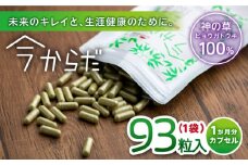 今からだ 93粒入 サプリ サプリメント カプセル ビタミン カルシウム マグネシウム ミネラル アミノ酸 神の草 日本山人参 ヒュウガトウキ【ひなたふぁーむ】[YBG002] 