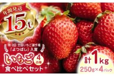 【先行予約】【2025年12月より順次発送】いちご 4品種 食べ比べセット 計1000g ( 250g × 4P ) 国産 農園直送 産地直送 熊本県産 山都町産 イチゴ 苺 ストロベリー フルーツ 果物 【なかはた農園】[YBI002] 