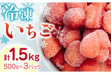 【数量限定】 冷凍 いちご 計1.5kg ( 500g × 3P ) いちご イチゴ 苺 ストロベリー 農園直送 産地直送 熊本県産 山都町産 フルーツ 果物 冷凍いちご 【なかはた農園】[YBI005] 