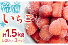  冷凍 いちご 計1.5kg ( 500g × 3P ) いちご イチゴ 苺 ストロベリー 農園直送 産地直送 熊本県産 山都町産 フルーツ 果物 冷凍いちご 【なかはた農園】[YBI005] 
