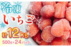 【数量限定】 冷凍 いちご 計12kg ( 500g × 24P ) イチゴ 苺 ストロベリー 農園直送 産地直送 熊本県産 山都町産 フルーツ 果物 【なかはた農園】[YBI006] 