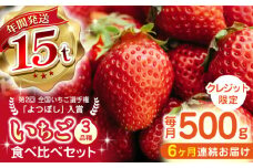 【先行予約】【全6回定期便】いちご 食べ比べセット 総計3.0kg ( 250g × 2P × 6回 ) 国産 農園直送 産地直送 熊本県産 山都町産 イチゴ 苺 ストロベリー フルーツ 果物 【なかはた農園】[YBI014] 